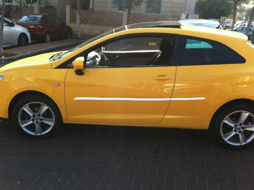 Seat IBIZA - Chrome Decorative Strips for Side Doors