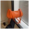 Women's Shoulder Bag 2023 Spring New Arrival Chic Color Block Casual Commuter Crossbody Bag