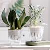 Plastic Succulent Plant Pot Double Layer Hydroponics Plants Pot Self Watering Flowerpot  Indoor