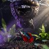 Hideout for Betta Xmas Aquarium Hideout, Shrimp Cave Shelter, Christmas Stocking Fish Tank Landscaping Hide, Halloween Bat Tanks