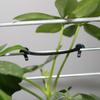 200Pcs Garden Plant Vines Tied Buckle Fixed Lashing Hook Garden Agriculture Greenhouse Vegetable Vine Fastening Strapping Clips
