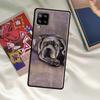 Чехол для собаки Кане Корсо Итальянский Мастиф для Samsung Galaxy A54 A06 A05 A16 A26 A36 A56 A53 A32 A52 A33 A13 A55 A35 A15 A14 A34