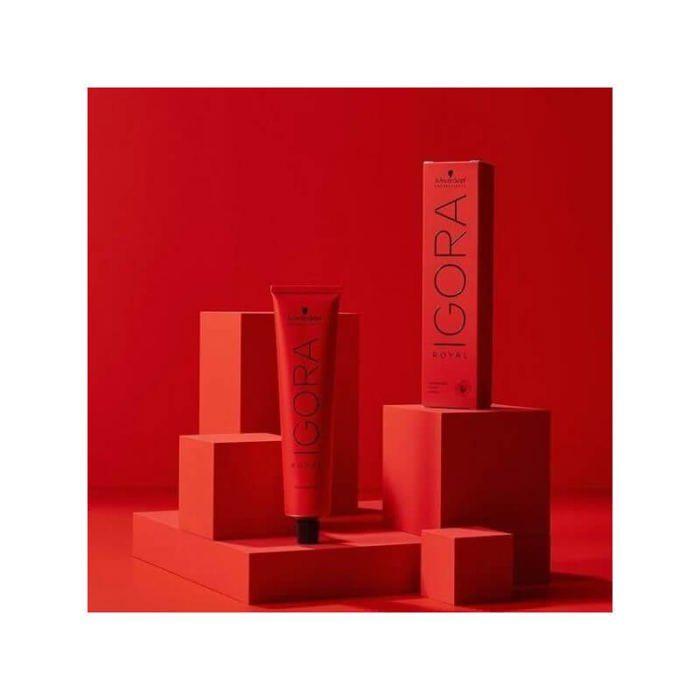 Coloration Igora Royal 8-00 blond clair naturel 60ML