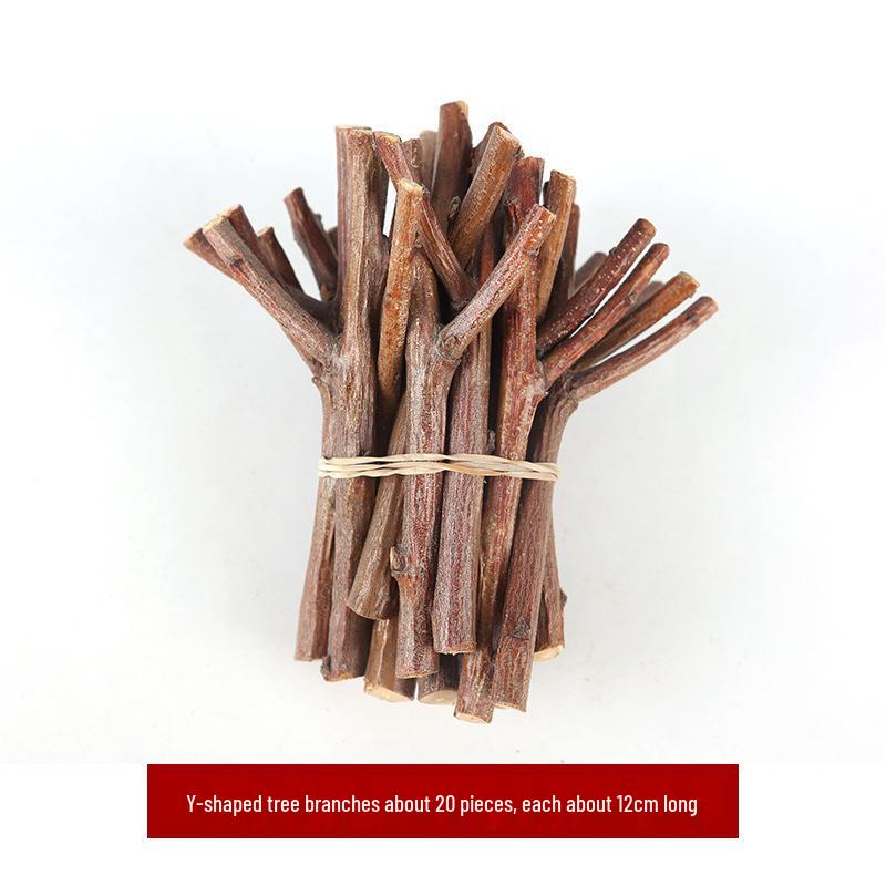 Wood Chips & Tree Slices Activity Kit for Kindergarten