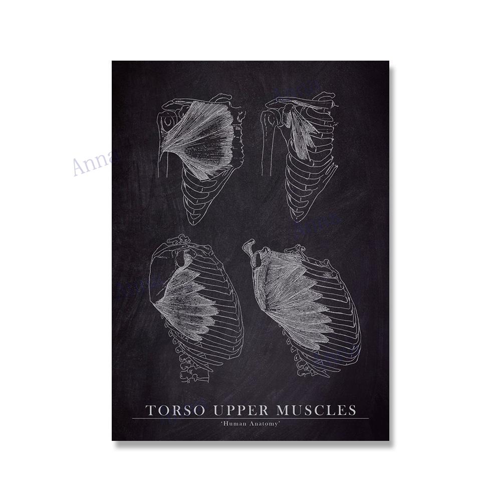 Muscle Foot Bone Heart Anatomy Skeleton Wall Art Canvas Painting Nordic Posters And Prints Wall Pictures For Doctor Office Decor