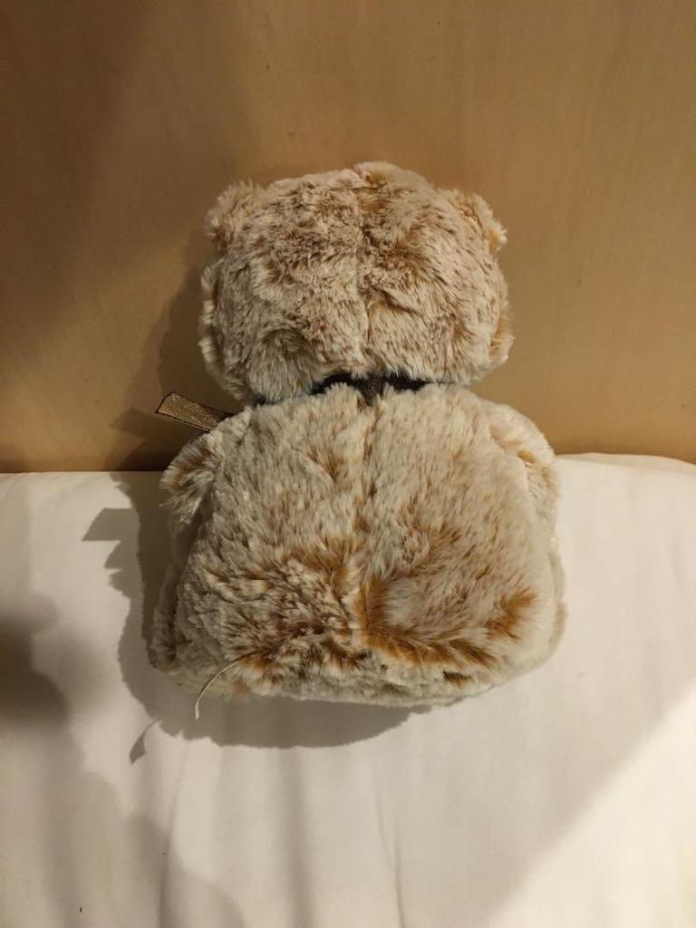 [USED] Teddy bear