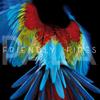CD FRIENDLY FIRES - Pala XLCD530 XL Recordings 2011 US Dance & Electronica Used
