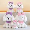 New Teddy Dog Doll Long Ears Little White Dog Plush Toy Grab Machine Rag Doll Girl Heart Princess Cute