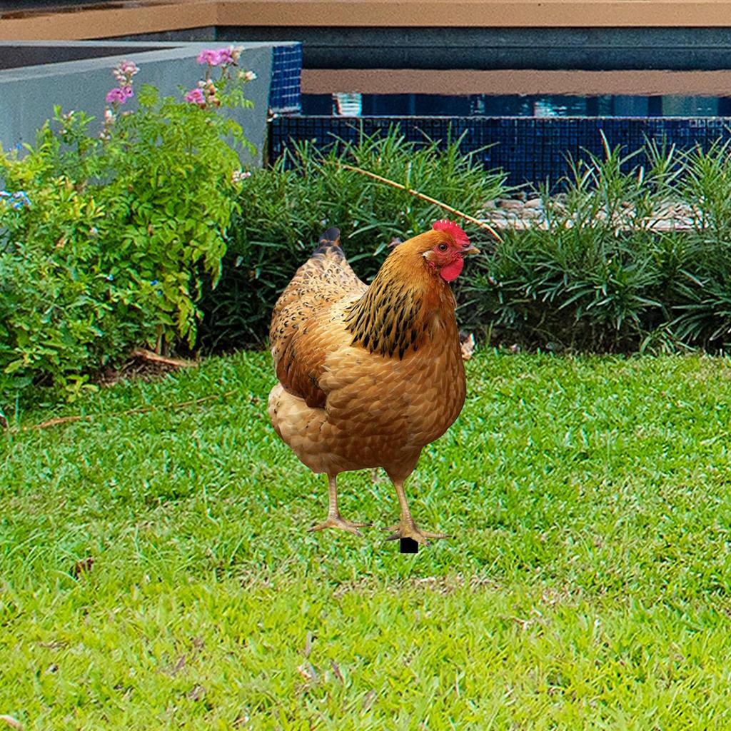 Элегантная металлическая садовая скульптура в виде курицы для наружного декора