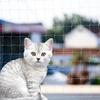 YOKMO Балконная сетка для кошек Защитная сетка от падения кошек Защитные сетки для собак Прозрачная нейлоновая сетка для питомцев Защитная сетка от падения для балконного окна лестницы Сетка для