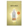 Маска-ампула Artemisia 10P
