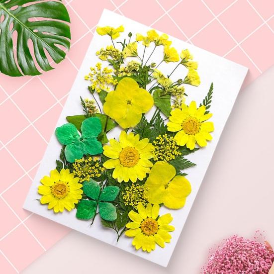 1 Set Dried Pressed Flowers Kit Colorful Natural Flowers DIY Art Crafts Supplies Resin Jewelry Epoxy Mold Candle Soap Vase Making Nail Card
