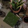 Искусственный моховой коврик 30 см Ковер из искусственной травы Легкий в уходе Не требует полива Декор для помещений и улицы Свадебный банкет Задний двор Балкон