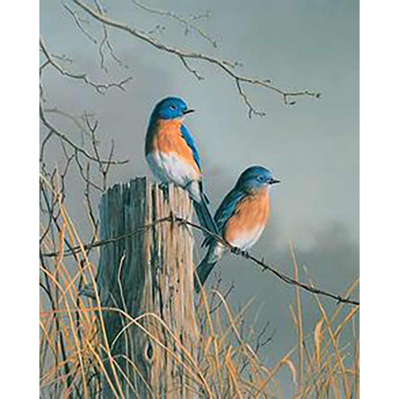 DIY 5D Diamond Painting Full Round Drill Mosaic Kit Birds Diamond Embroidery Cross Stitch Animal Needlework Wall Art Home Decor