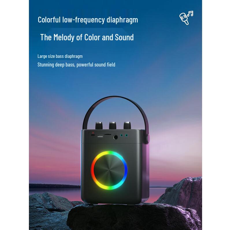 Newman K519 Portable Bluetooth K-Song Speaker