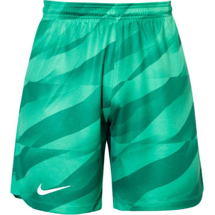 Nike Мужские спортивные брюки для футбола Dri Fit FV5278-324