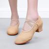 Обувь для балета, женская обувь для учителей, тренировочная обувь для сцены, тапочки с мягкой подошвой, тренировочная обувь для девочек, обувь для джазовых танцев