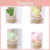 Cute Cactus Potted Plant With Lace Decoration Succulent Plush Toy Pendant For Bedroom Decor And Collectors