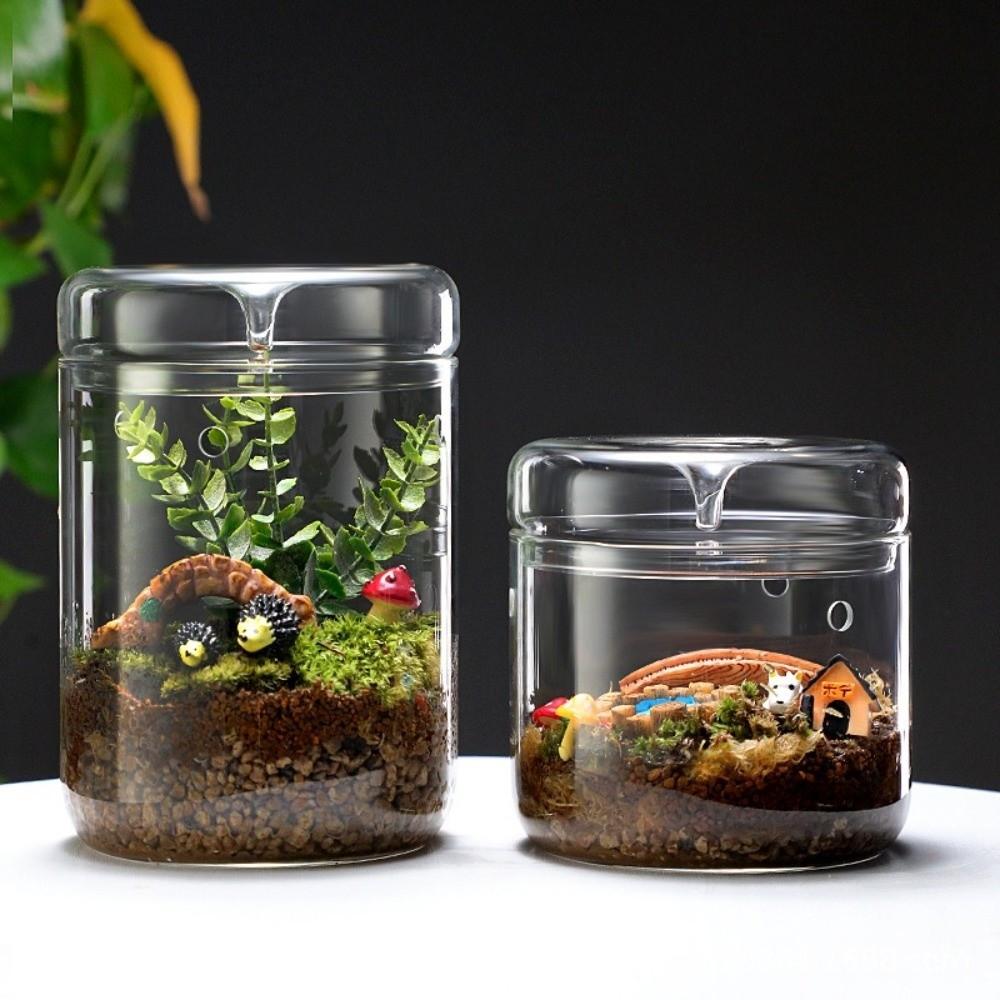 Transparent Glass Terrarium Cylinder Perforated Cover Desktop Glass Vase Decorative Succulent Moss Viewing Bottle Desktop Decor