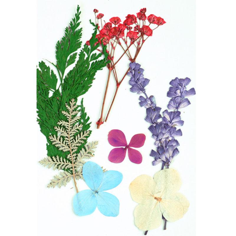 Популярные маленькие 25 шт./пакет, высокое качество, украшение для дома, сушеные цветы, прессованные цветы, консервированные цветы, сделай сам, мини-цветы ручной работы