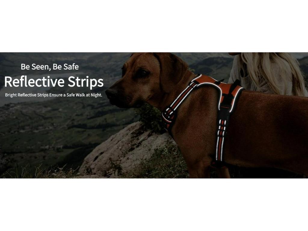 Нейлоновая шлейка для груди и поводок для крупных питомцев