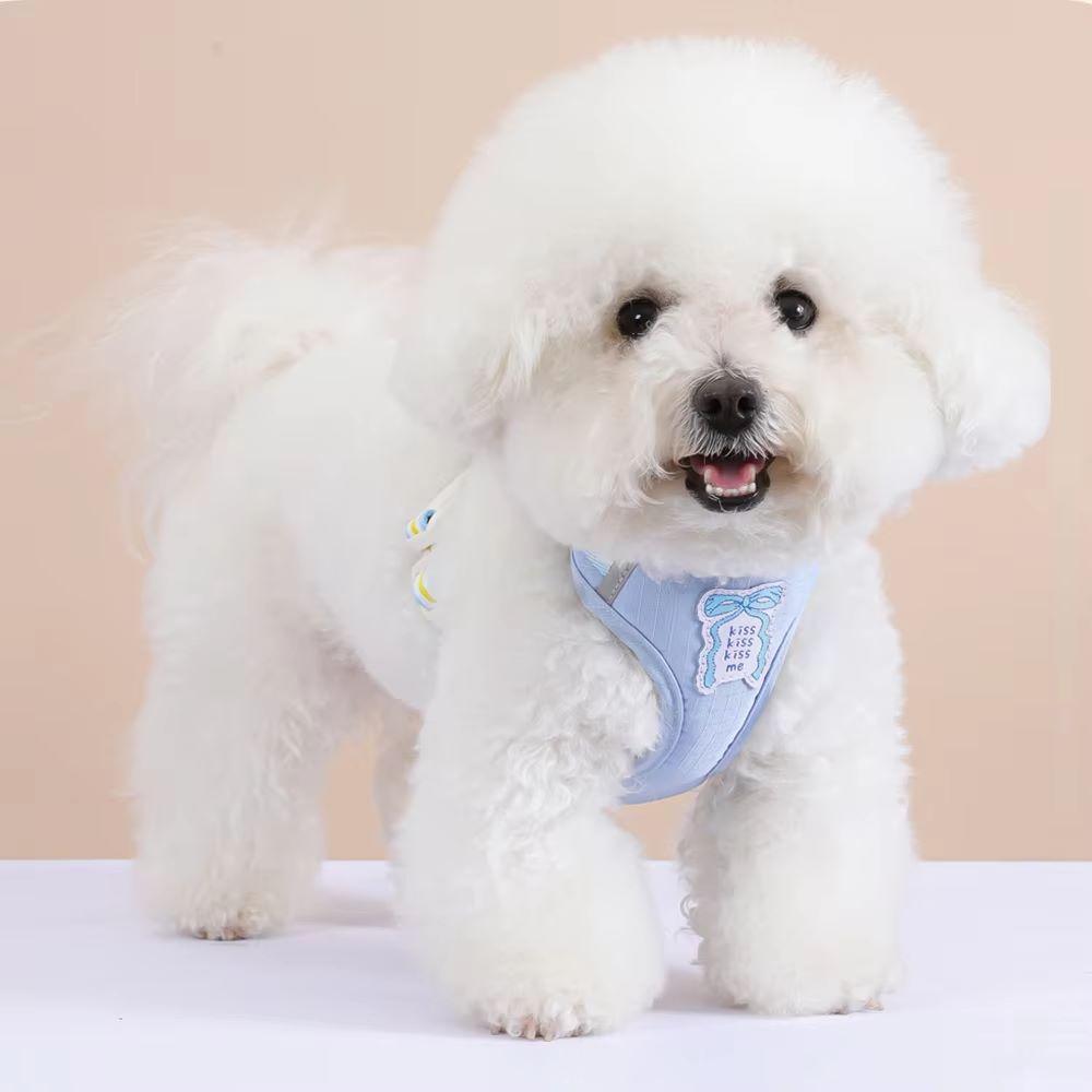 Бантик Поводок для собаки Летний Прохладный Собачий Нагрудный рюкзак Уличная Милая Веревка для выгула собаки Нагрудный рюкзак(Синий-XL)