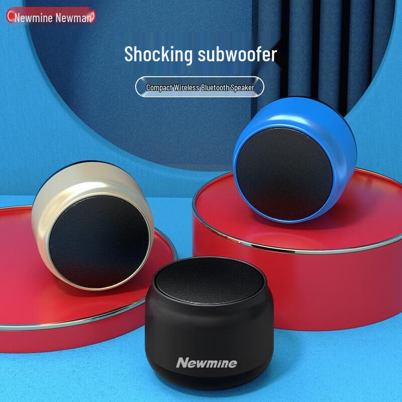 Портативная Bluetooth-колонка Newmine BT31, штекер CN (адаптер в комплекте)