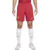 Футбольные шорты мужские Nike Dri FIT, домашние, стадионные, Ливерпуль ФК, 2024, replica FN8863-687