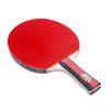 Настольная ракетка для настольного тенниса Double Fish 2D-E 2 звезды, хват перо