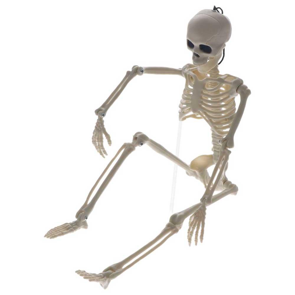 Decoration Skeleton Anatomy Skeleton Human Skeleton Model Car Decoration People Active Model