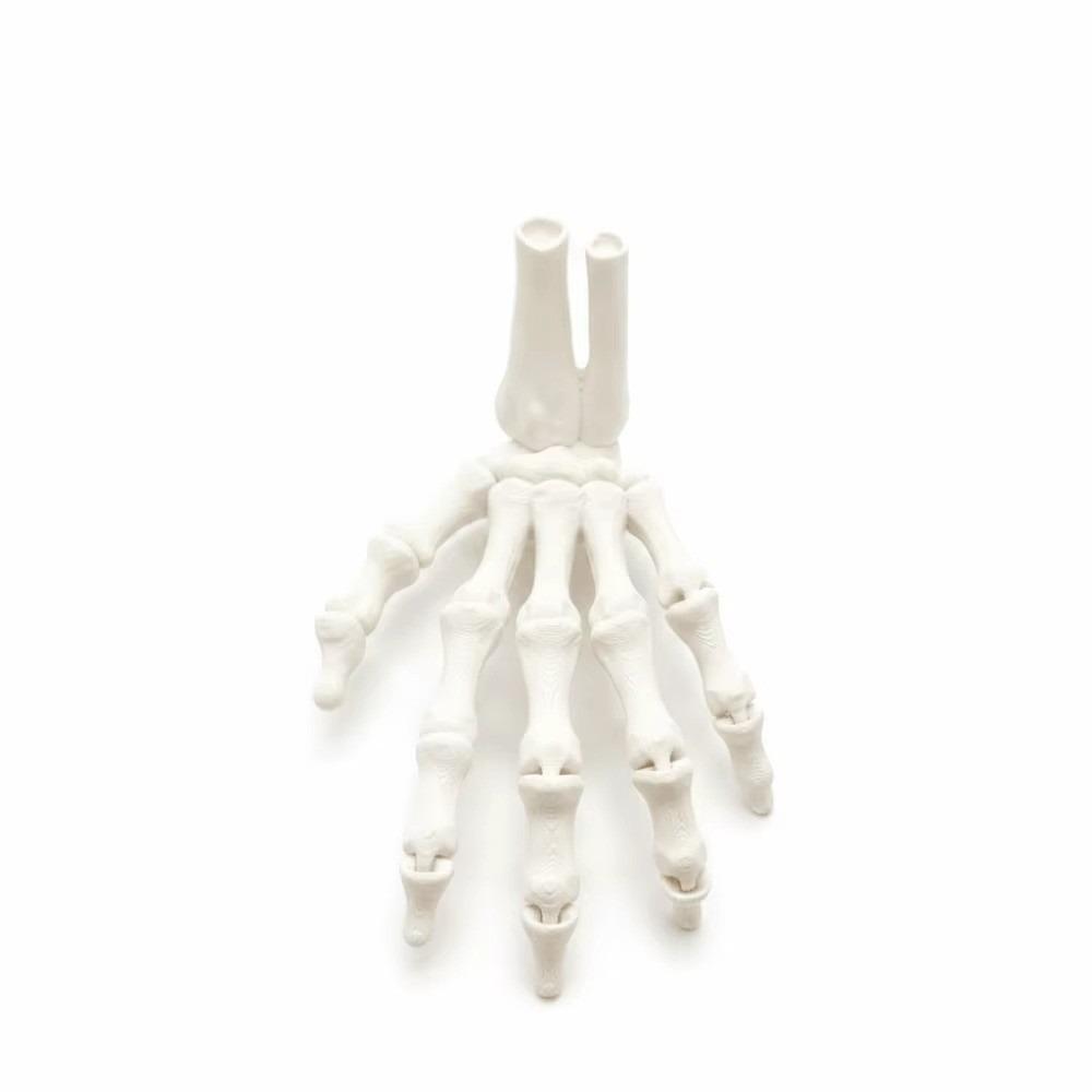 White 3D Printed Hand Bone 3D Printed Halloween Skeleton Hand Halloween Decoration