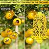 Wasp trap recyclable Bell-type Fruit Fly Trap Trap bee trap fly trapYellow