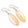 Botswana Agate Gemstone 925 Sterling Silver Jewelry Earring 1.89"
