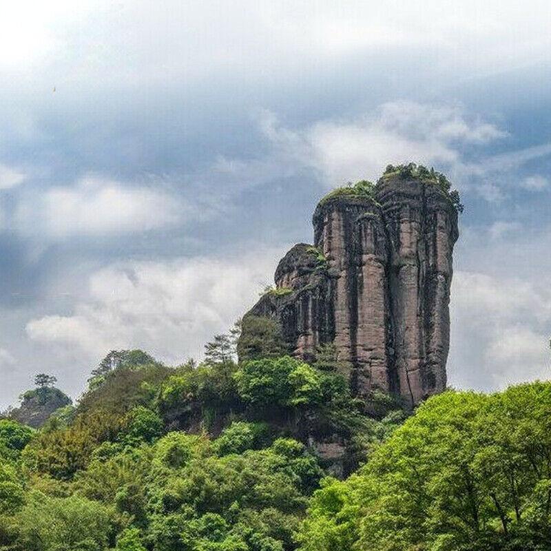 AT101 TAN CHUNG CHI CHONG Фуцзяньский улун 125 г Tin Wuyi Rock Tea