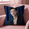 Чехол для подушки J-Ji C-Chang Wook, многоцелевой чехол для подушки для дома и автомобиля - Двусторонний, мягкий и прочный для ежедневного использования