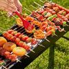 ZISIZ Portable Folding Charcoal BBQ Grill