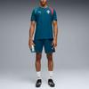 Men's Puma Portugal Big Kids' Soccer Training Jersey