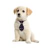 30/50PCS Dog Grooming Pets Dogs Neckties Small Dog Bowties Dog Grooming Accessories For Large Dogs Ties Pet Supplies