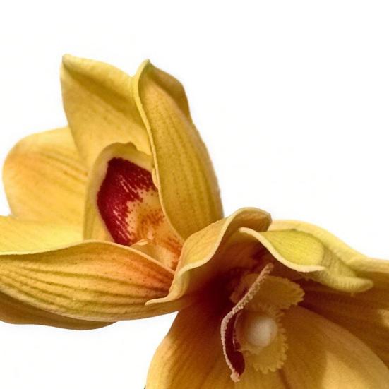 Hair Claw 3D Simulated Flower Shape Hair Clip Anti-slip Teeth Back Head Shower Hair Claw Hair Accessories
