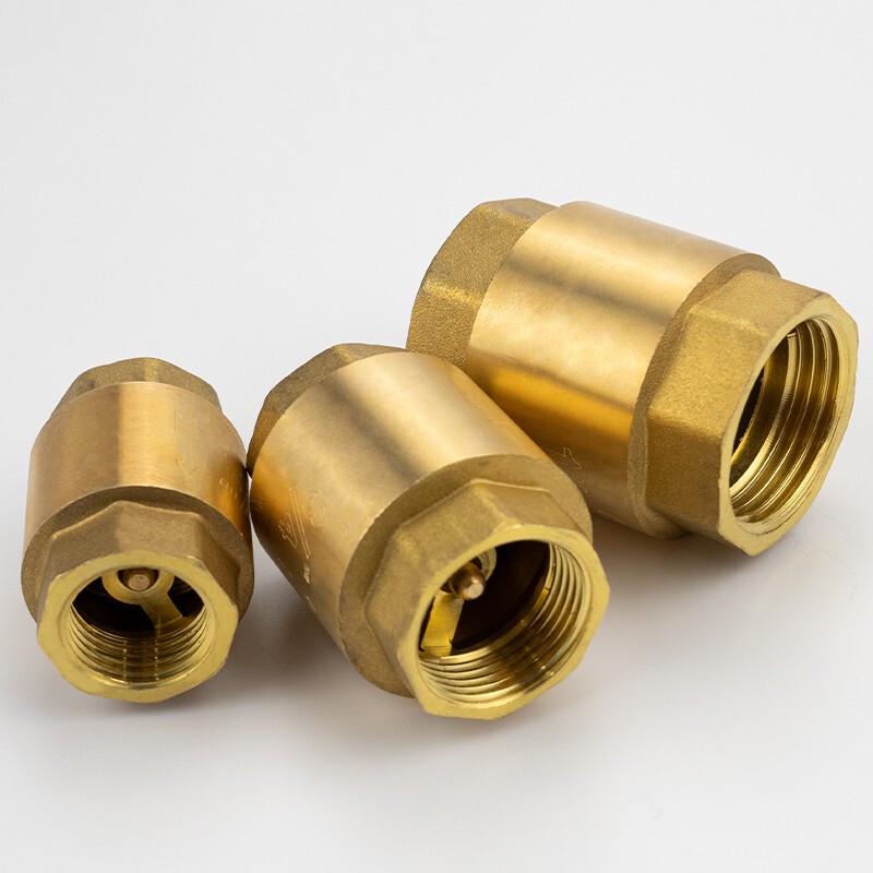 Haisidick GNJZ-631 Vertical Brass Spring Check Valve