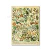 Adolphe Millot Encyclopedia Poster Fruit Botanical Mushrooms Herbs Flowers Canvas Paintings Print Vintage Wall Art Room Decor