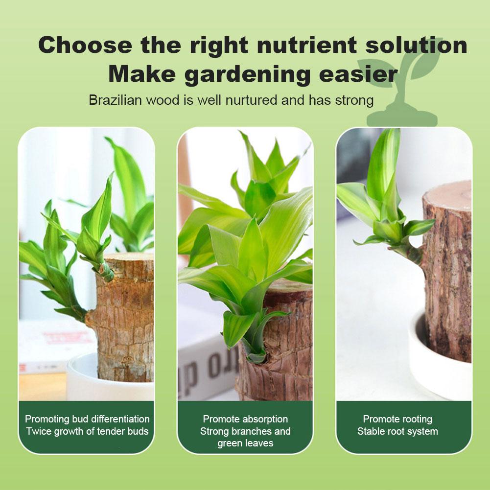 1/3/5 шт. бразильская древесная подкормка для растений Lucky Brazilian Wood жидкое удобрение бразильское древесное питательное средство комнатное удобрение
