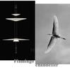 Modern Home Decor Interior Lighting Flamingo Chandelier Flying Saucer Designer Table Bar Living Room Bedroom Lighting