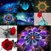 5D алмазная живопись Diy цветочный узор полный алмаз ручной работы круглый алмаз вышивка мозаика украшение дома гостиная подарок