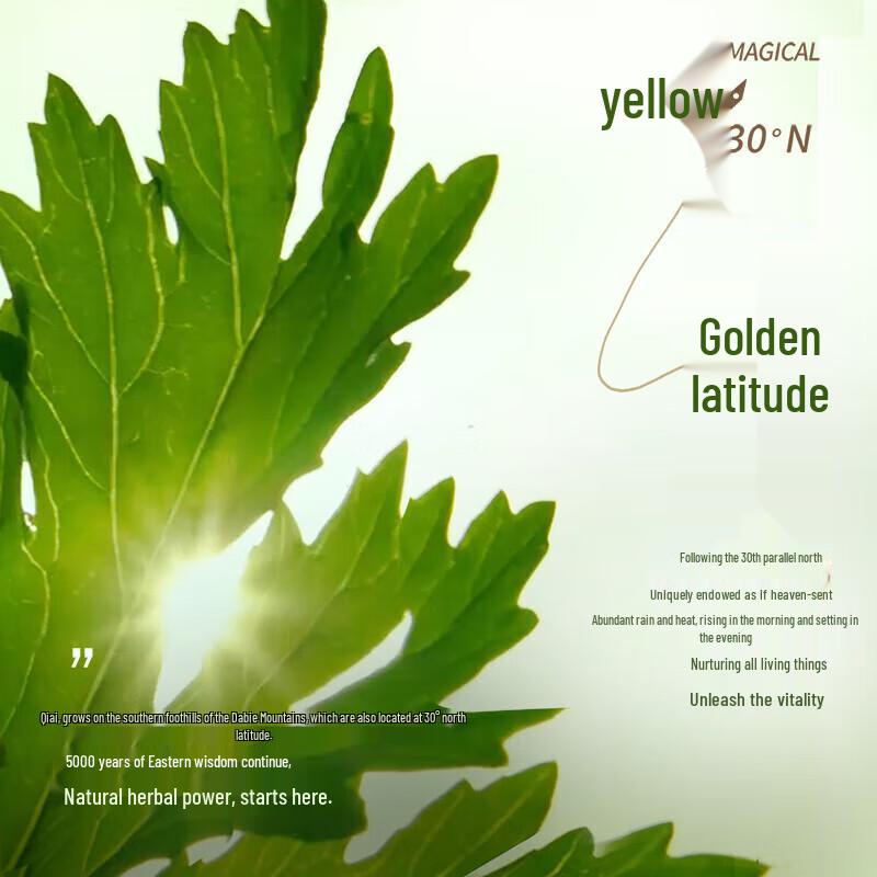 Breo A2 Smart Portable Moxibustion Device