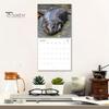 Moo Deng Hippo 2025 Calendar 12-Month Pygmy Hippo Wall Calendar Hangable Monthly Calendar for Scheduling Organizing Planning