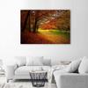 Canvas print, Trees in a park landscape