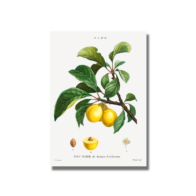 Nordic Kitchen Decor Canvas Painting Fruit Vegetables Pictures On The Wall Orange Art Posters for Home Design No Frame