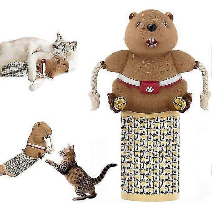 Cat Wrestling Glove, Cats Puppet Wrestler with Tough Padding for Safe Interactive Play, Cat Wrestling Toy Puppet with Cats Teaser and Bell for Boredom