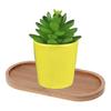 Oval bamboo tray, natural dessert cup tray, small wooden cheese board